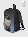Рюкзак детский / сиамская милая кошечка