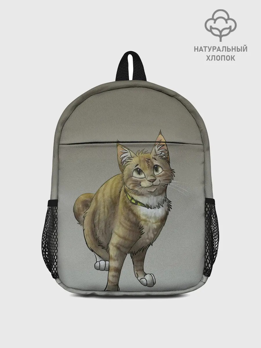 Рюкзак детский / полосатый уличный кот