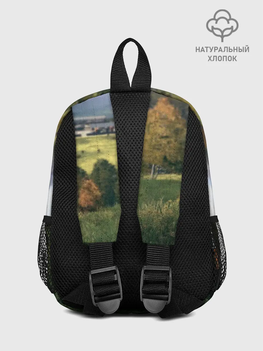 Рюкзак детский / DayZ