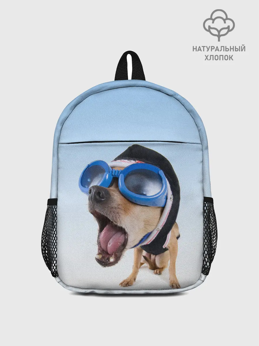 Рюкзак детский / собака в очках