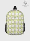 Рюкзак детский / счастливые лягушки