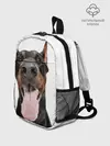 Рюкзак детский / Доберман / Doberman