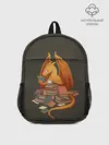 Рюкзак детский / Book Dragon