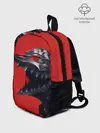 Рюкзак детский / BERSERK маска