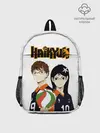 Рюкзак детский / Майкл и Лили в роли персонажей Haikyuu!!