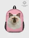 Рюкзак детский / Пушистый кот