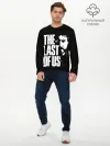 Мужской лонгслив базовый / The Last of Us