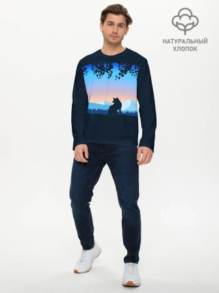 Мужской лонгслив базовый / WOLF