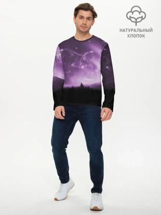 Мужской лонгслив базовый / ВОЛКИ СОЗВЕЗДИЯ