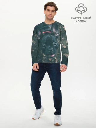 Мужской лонгслив базовый / Бульдог морда собакена черного