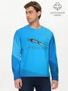 Мужской лонгслив базовый / jaguar