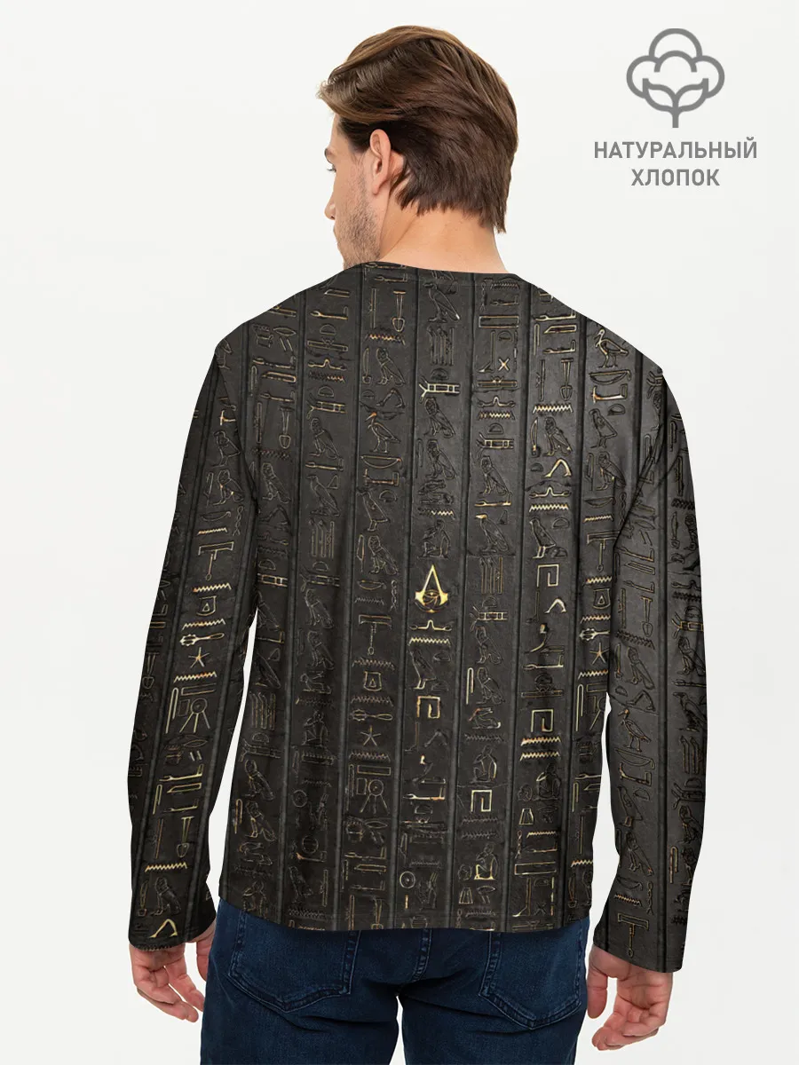 Мужской лонгслив базовый / ASSASSINS CREED:ORIGINS