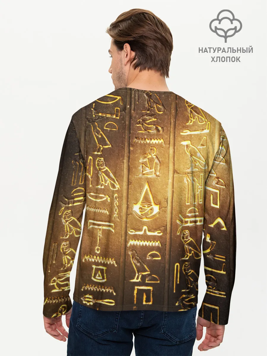 Мужской лонгслив базовый / ASSASSINS CREED l ORIGINS