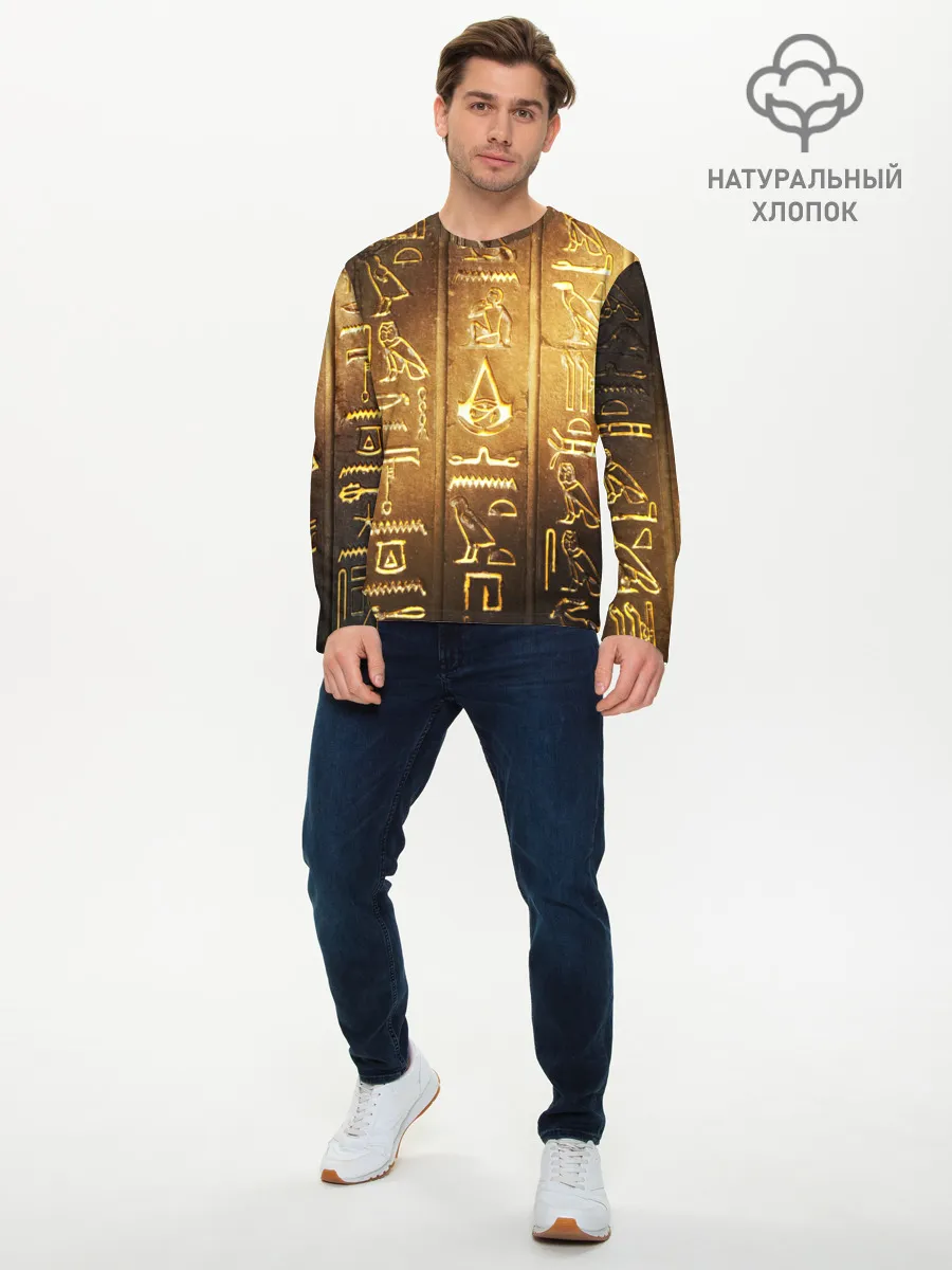 Мужской лонгслив базовый / ASSASSINS CREED l ORIGINS