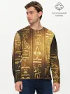 Мужской лонгслив базовый / ASSASSINS CREED l ORIGINS