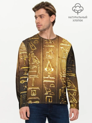 Мужской лонгслив базовый / ASSASSINS CREED l ORIGINS