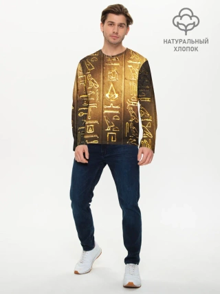 Мужской лонгслив базовый / ASSASSINS CREED l ORIGINS