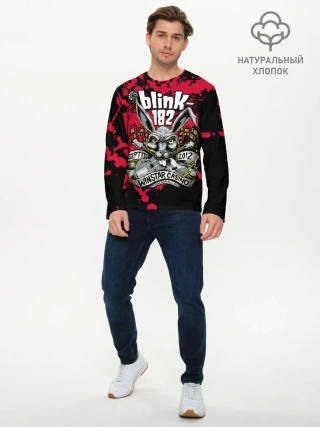 Мужской лонгслив базовый / Blink 182