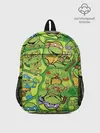 Рюкзак детский / Teenage Mutant Ninja Turtles