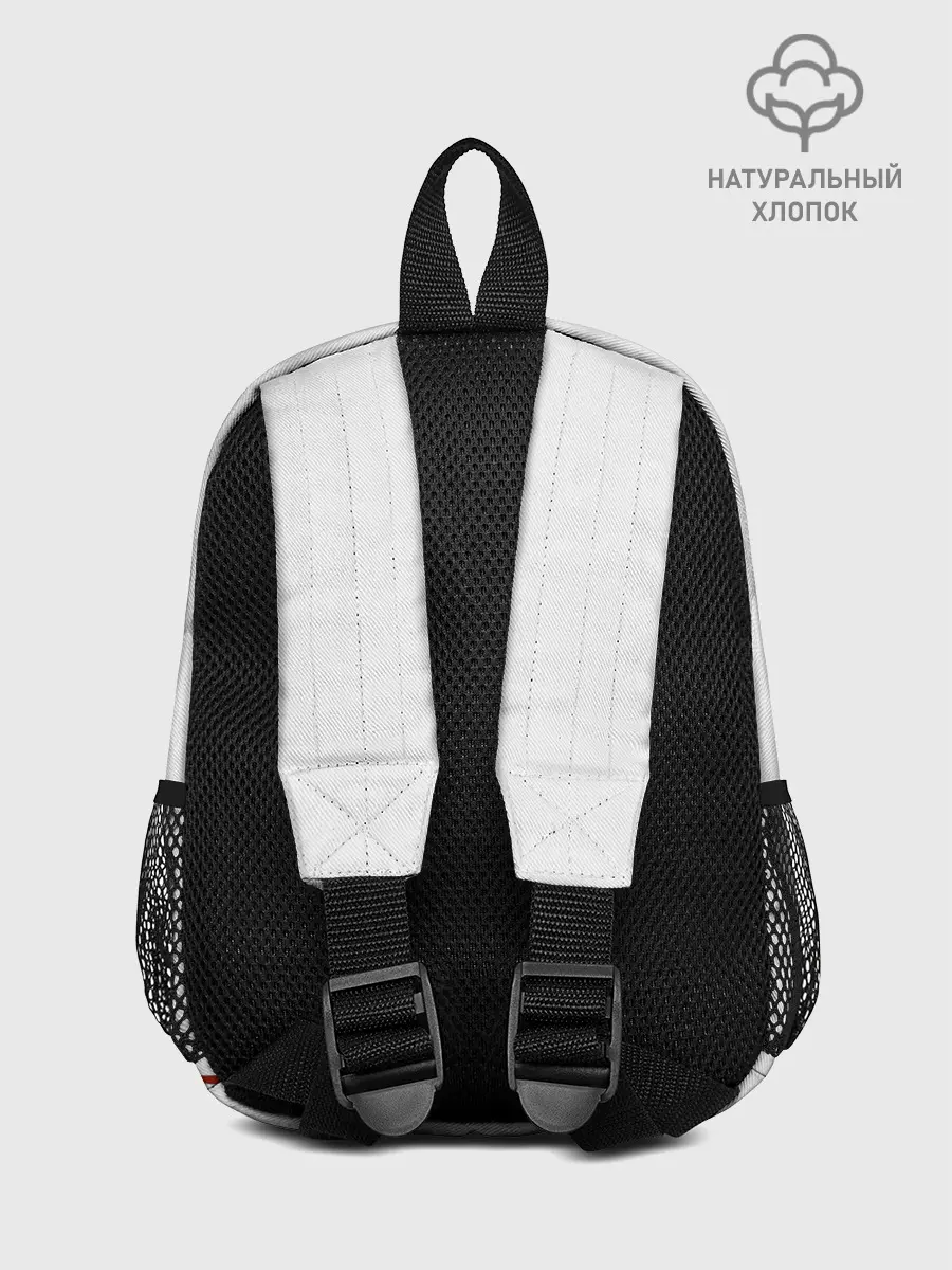 Рюкзак детский / The Flash