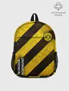 Рюкзак детский / Borussia