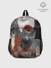 Рюкзак детский / КОТЯТКИ