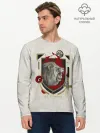 Мужской лонгслив базовый / Гарри Поттер