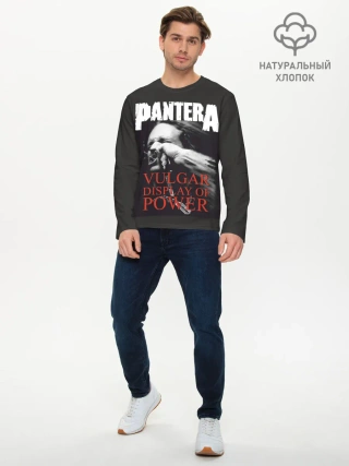 Мужской лонгслив базовый / PANTERA VULGAR OF POWER