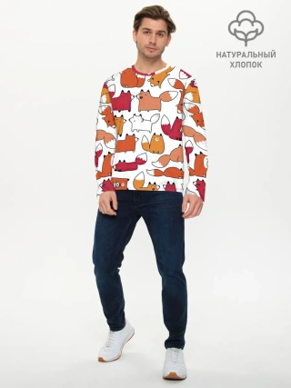 Мужской лонгслив базовый / Милые лисы