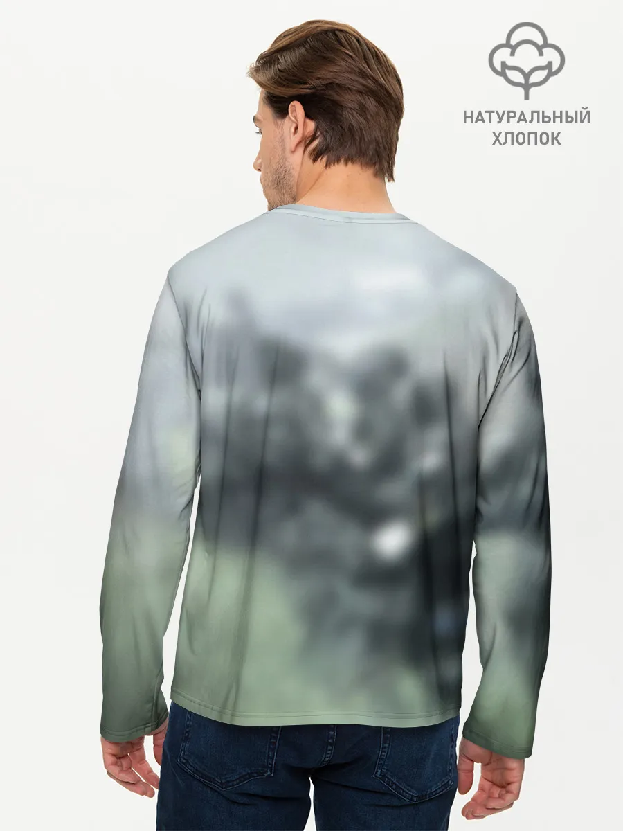 Мужской лонгслив базовый / Halo 2