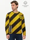 Мужской лонгслив базовый / Borussia