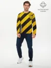 Мужской лонгслив базовый / Borussia