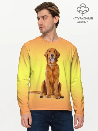 Мужской лонгслив базовый / Золотистый ретривер
