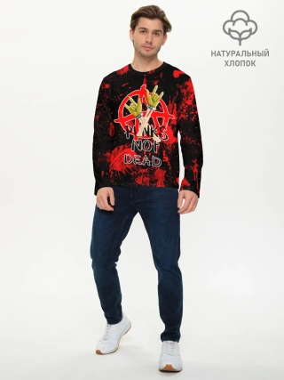 Мужской лонгслив базовый / Анархия