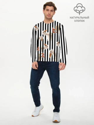 Мужской лонгслив базовый / Гуси