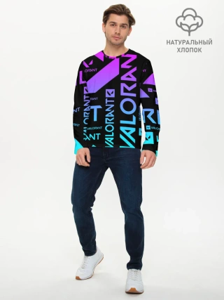 Мужской лонгслив базовый / Valorant