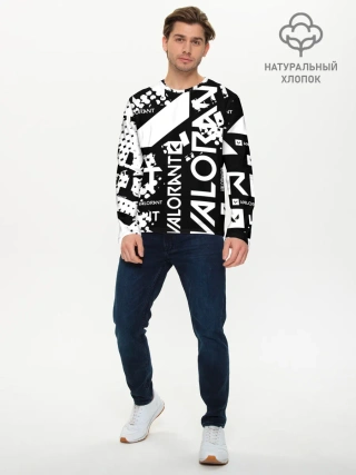 Мужской лонгслив базовый / Valorant