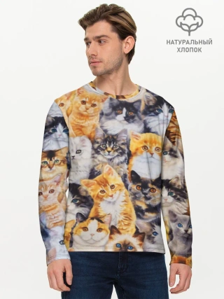 Мужской лонгслив базовый / КОТЯТКИ