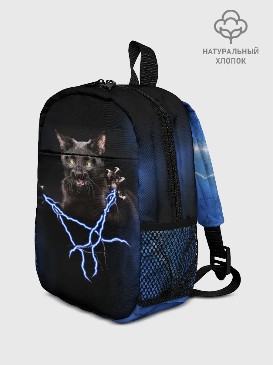 Рюкзак детский / Грозовой кошак