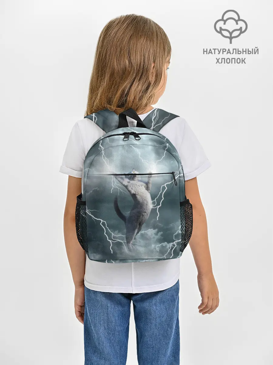 Рюкзак детский / Грозовой кошак.