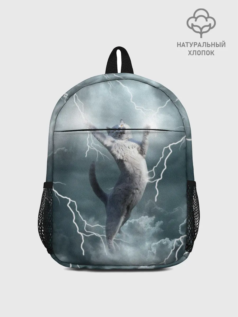 Рюкзак детский / Грозовой кошак.