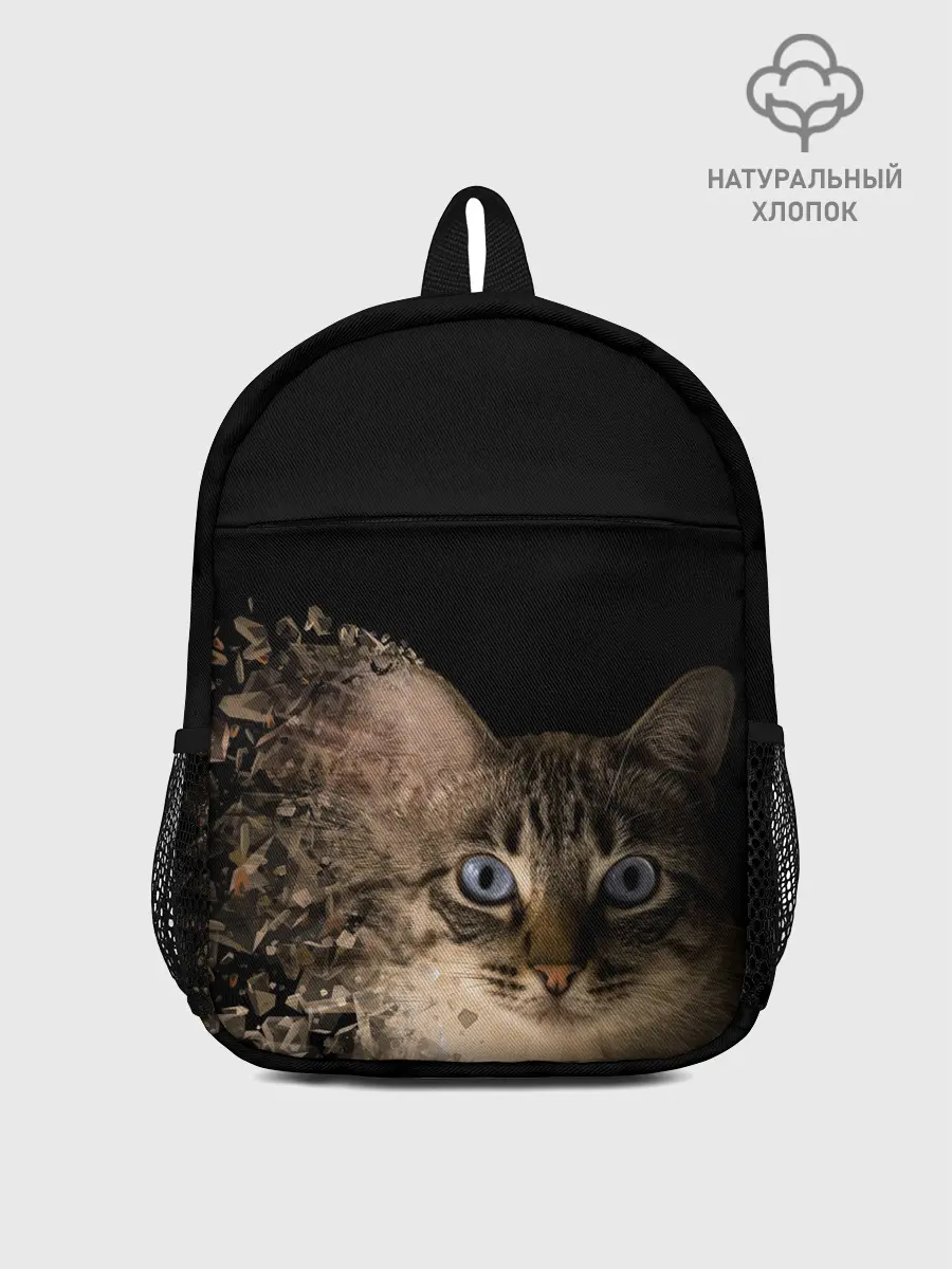 Рюкзак детский / Disintegrating Cat