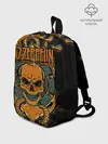 Рюкзак детский / Led Zeppelin