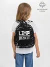 Рюкзак детский / Limp Bizkit