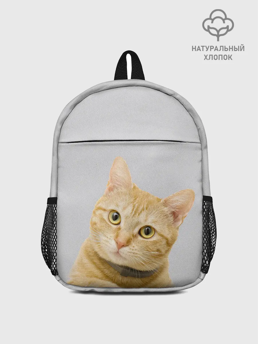 Рюкзак детский / Рыжий котик
