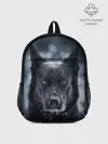 Рюкзак детский / Dark Dog