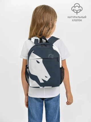 Рюкзак детский / cs:go - Liquid team