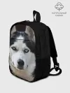 Рюкзак детский / Хаски