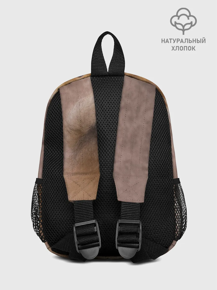 Рюкзак детский / Шпитс