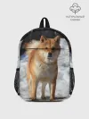 Рюкзак детский / Акита-ину